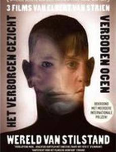 Het verborgen gezicht