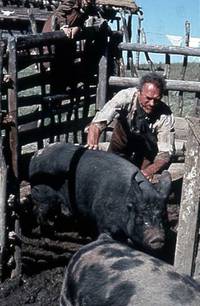 Кадр Непрощенный