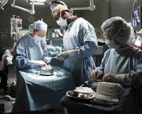 Кадр Анатомия страсти