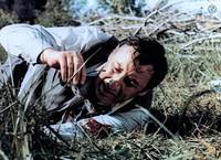 Кадр Старое ружье