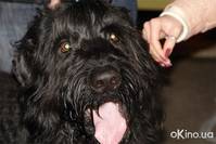 Кадр Рука на счастье