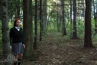 Кадр Темный лес