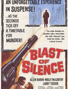 Взрыв тишины