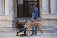 Кадр Как добиться успеха в Америке