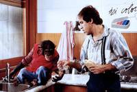 Кадр Бинго Бонго