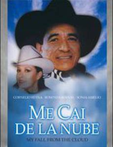 Me cai de la nube