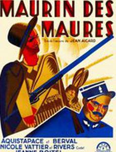 Maurin des Maures