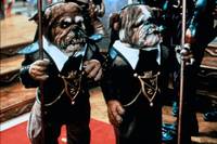 Кадр Мама и папа, спасите мир!