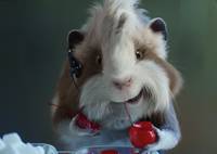 Кадр Миссия Дарвина