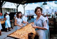 Кадр Ла бамба