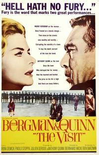 Постер Визит