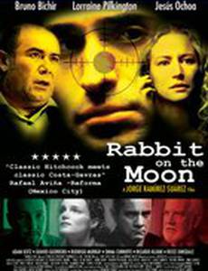 Кролик на Луне