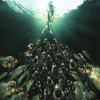 Постер Пираньи 3DD