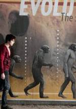 Николас Холт фото