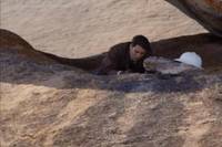 Кадр Возвращение в Затерянный Мир