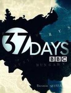 37 Days (мини-сериал)