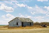 Кадр Горбатая гора