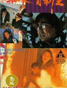 Xiang Gang qi an: Xi xue gui li wang