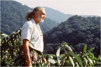 Кадр Знахарь