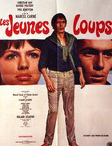 Молодые волки