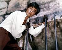 Кадр Черный тюльпан