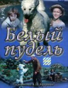 Белый пудель