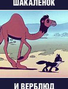 Шакаленок и верблюд