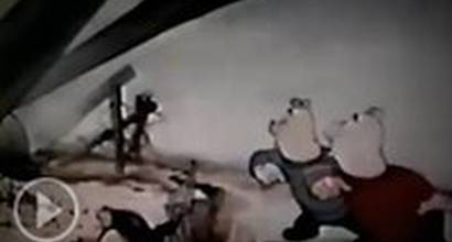 Мультфильм 