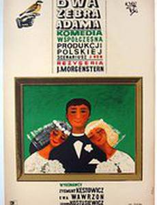 Два ребра Адама