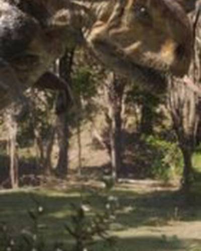 Алекс Пиндер фото