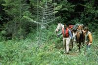 Кадр Огонь на поражение