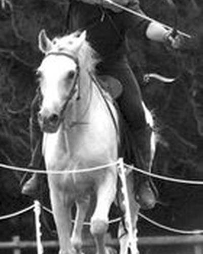 Марк Хенсон фото