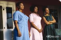 Кадр Тайная жизнь пчел