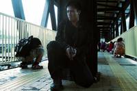 Кадр Вирусный фактор