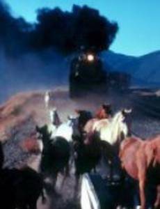 Inventing Grace, Touching Glory