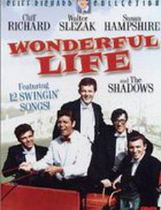 Wonderful Life