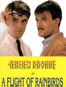 Een vlucht regenwulpen