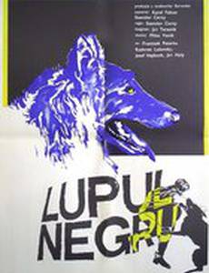 Черный волк