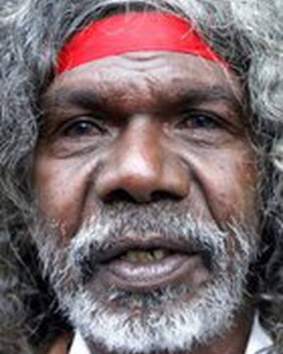 Дэвид Галпилил фото