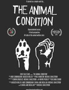 The Animal Condition