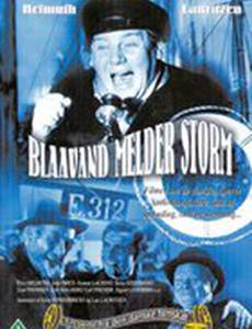 Blaavand melder Storm