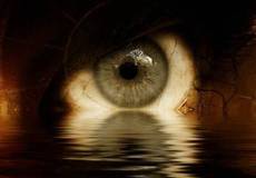 Кипарисовый дом встречает Криса Коламбуса