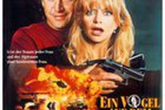 Птичка на проводе