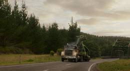 Кадр из фильма "Пит и его дракон" - 2