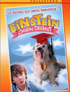 Завтрак с Эйнштейном