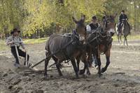 Кадр Ад на колёсах