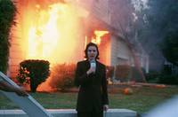 Кадр Луковые новости