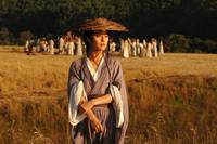 Кадр Пшеница