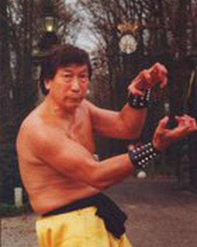 Чи Линг Чи фото