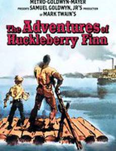 Приключения Гекльберри Финна